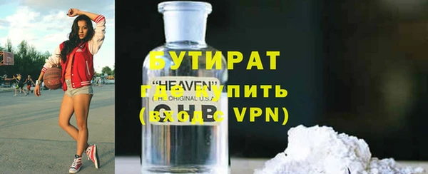 дмт Бородино