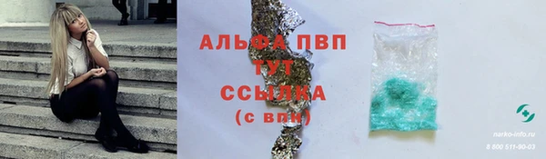дмт Бородино