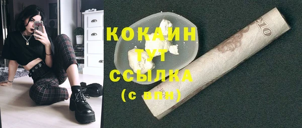 дмт Бородино