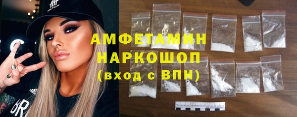 дмт Бородино