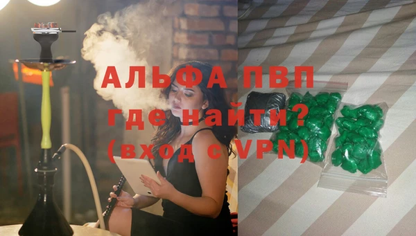 дмт Бородино