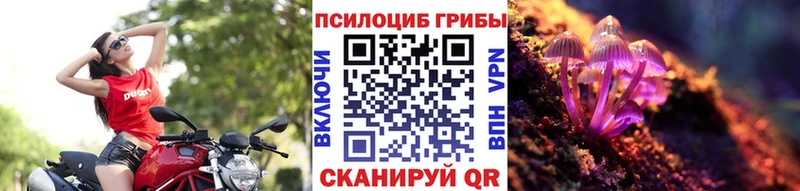 купить наркотики цена  Малаховка  кракен зеркало  Галлюциногенные грибы Psilocybe 