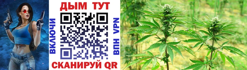 продажа наркотиков  Малаховка  Бошки Шишки White Widow 